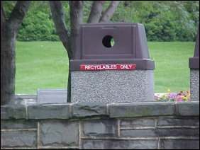 Flowers, trees, and even the recycling bin...