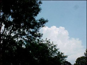 And after a brief look at the sky, to capture these absolutely GORGEOUS views of the clouds above, we headed over to D-Hall.