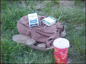 Beside the pool, the life-support mechanisms of its inhabitants sit nearby - shirt, shoes, drinks, and cigarettes. Interestingly enough, of all the floors in Potomac, mine has the highest concentration of smokers, with 19 out of 46 residents lighting up on a regular basis.