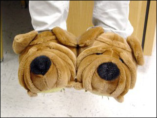 Thomas's slippers are named Apollo (left), and Zeus!