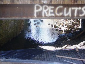 From here, we went down to Mongers Lumber, an industrial facility built over and around Blacks Run. The waterway seen above is Blacks Run, and the wooden bridge which we are standing on below is built over Blacks Run.