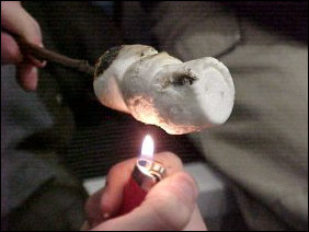 When efforts to cook the marshmallow the normal way failed, a cigarette lighter seemed to do the job, if you didn't mind a hint of butane taste on your marshmallow.