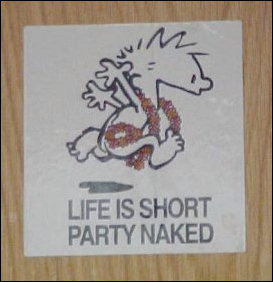 What would Bill Watterson say if he saw this? Still, life is short, but I don't know about partying naked...