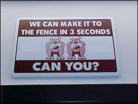 If you want to run like the big dogs, you have to make it to the fence in three seconds. Can you?