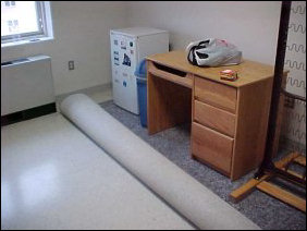 Now comes the fun part... getting the stuff over the roll of carpet in order to finish moving the carpet.